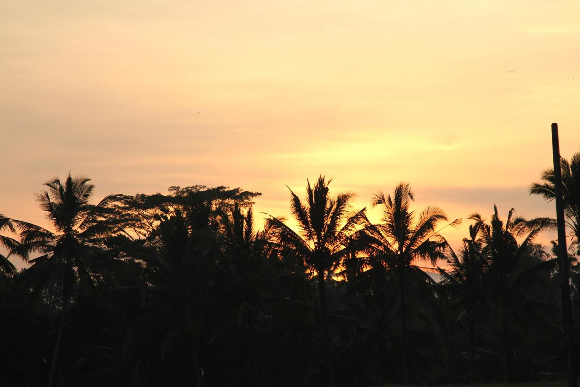 Ubud Kartini Hostel 外观 照片