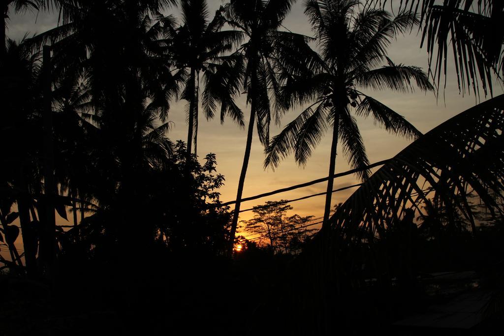 Ubud Kartini Hostel 外观 照片